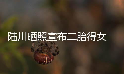 宣布婆是二胎陆川 陆得女晒照谁川老