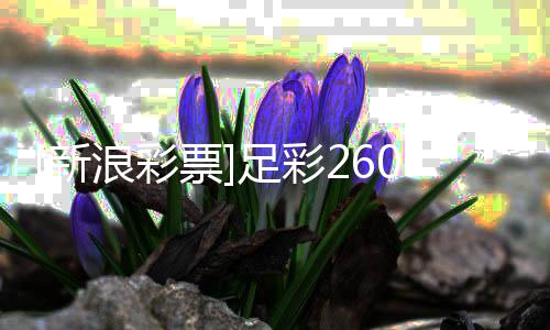 布新票盈亏浪彩拉加防平9期足彩指数谨慎